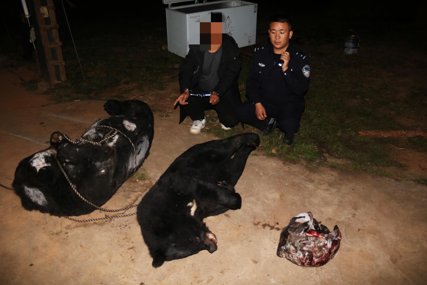 ▲犯罪嫌疑人指认被猎杀的黑熊