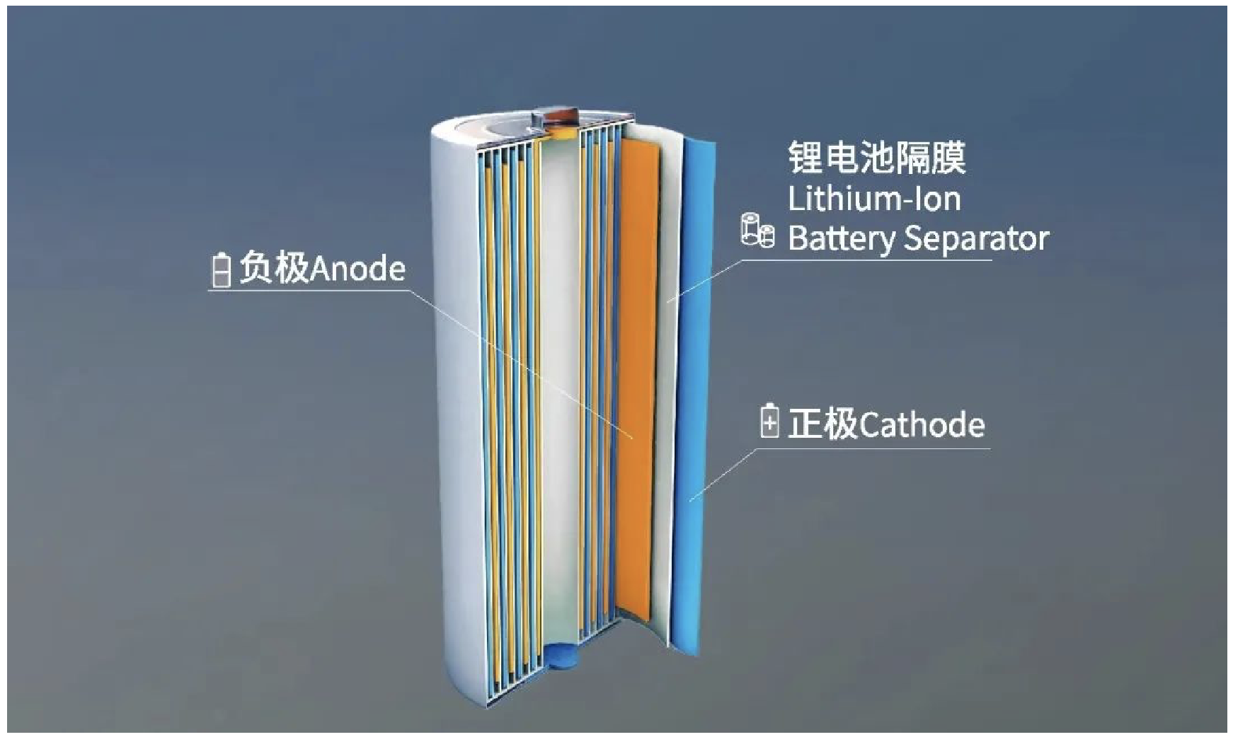 锂电池结构-隔膜示意图,来源于恩捷股份官网