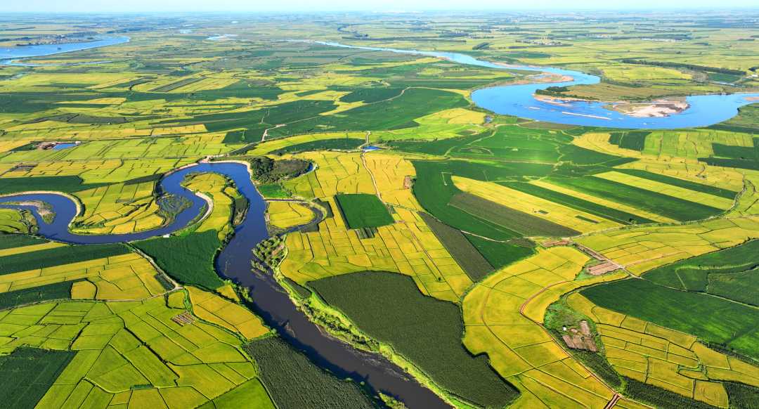 黑龙江绥化北林:稻田美如画 绘就丰收图|黑龙江省_新浪财经_新浪网