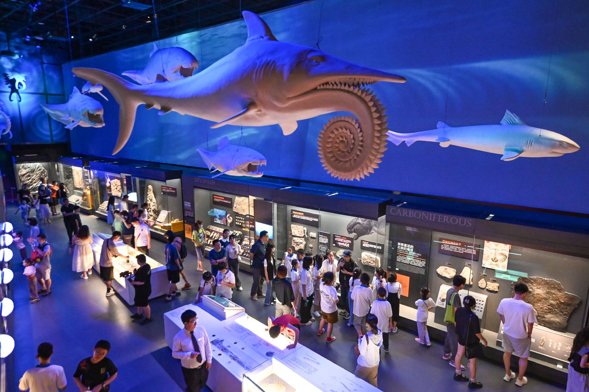 7月29日,在国家海洋博物馆,学生们在"远古海洋"展厅内参观.