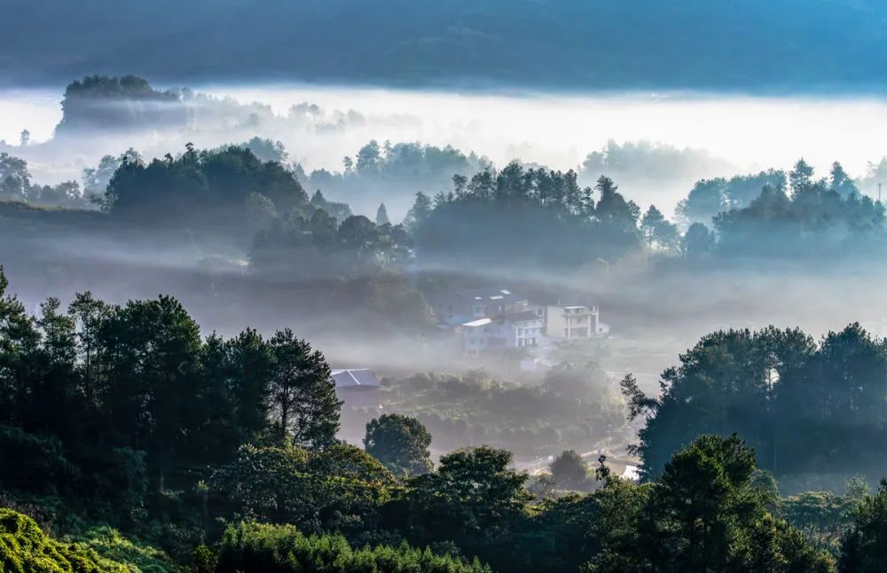 以上圖片:2023年8月23日在重慶市南川區大觀鎮山鄉田野拍攝的初秋晨景