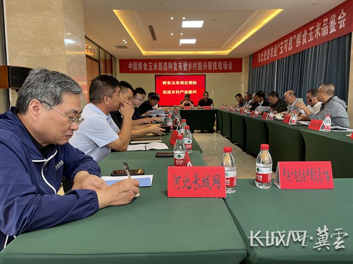 河北鲜食玉米新品种在保定涞源集中亮相|河北省_新浪财经_新浪网