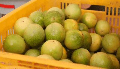 △ 以上3图来源 广宁发布