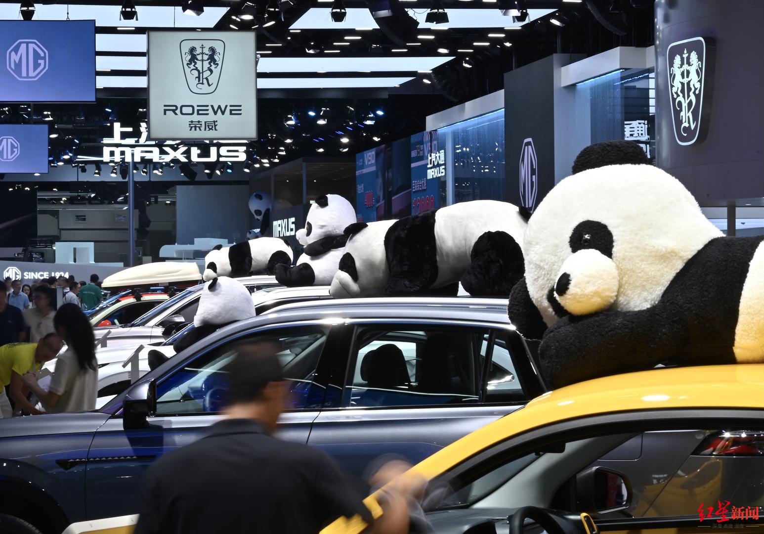 ▲在车顶摆pose的“熊猫车模”
