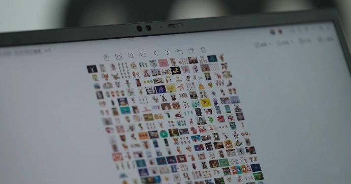 刘平云保存的熊猫影像