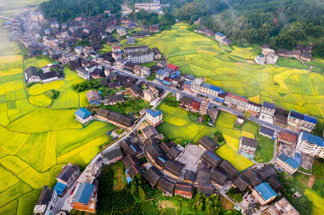 侗乡山寨秋日美|湖南省_新浪财经_新浪网