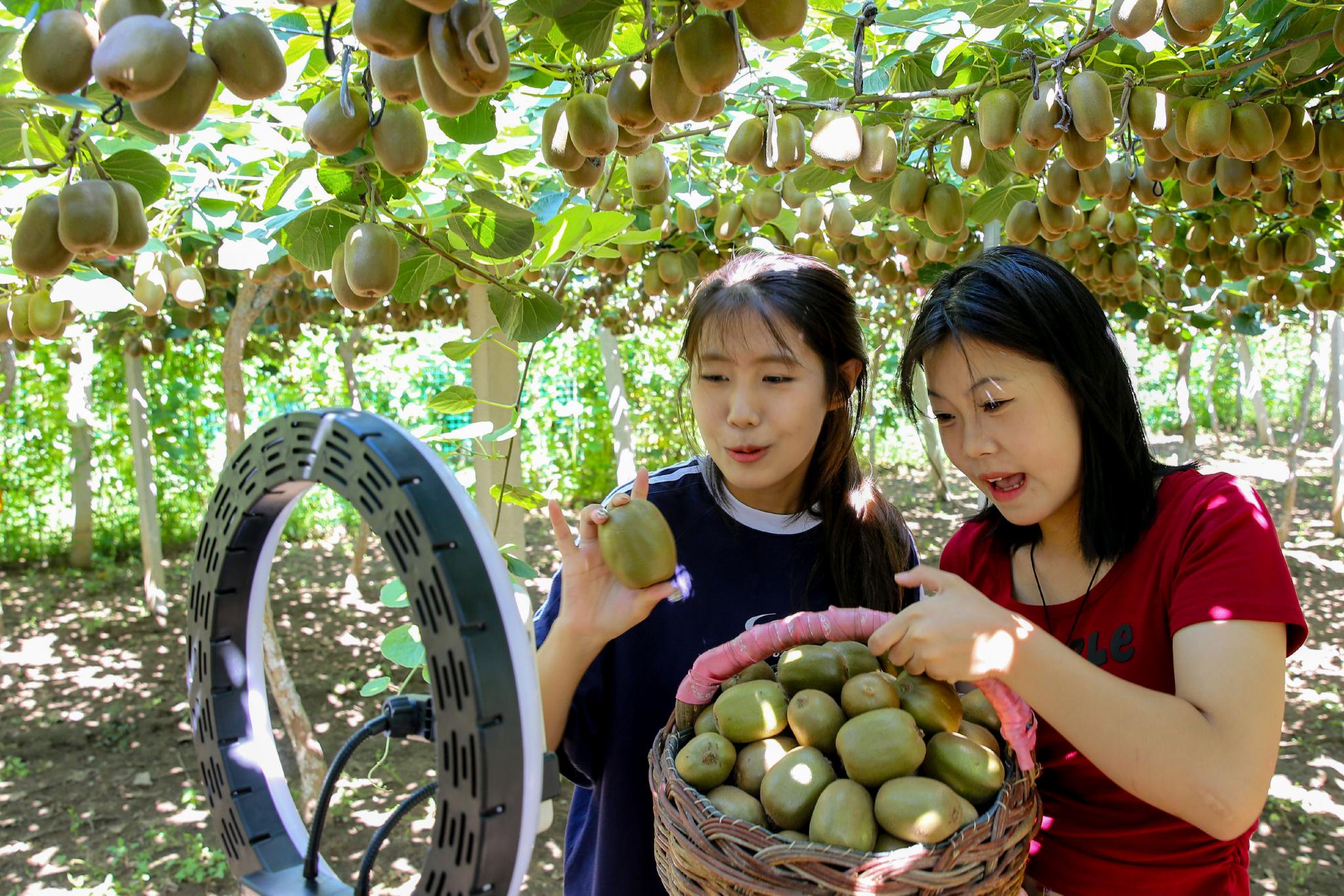 山东淄博:直播带货 助农增收