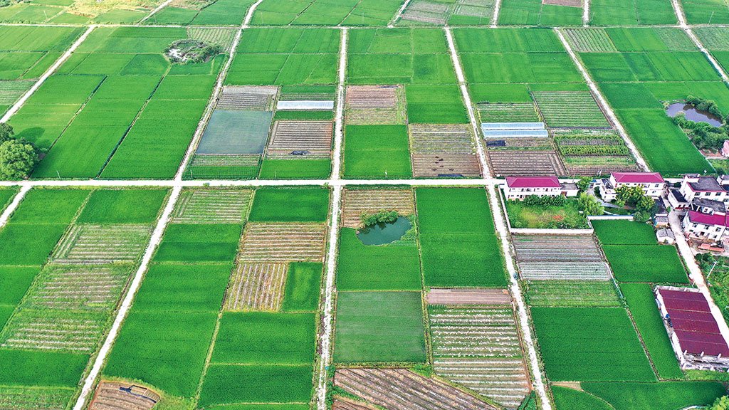 江西省吉安市永丰县潭城乡舍陂村,高标准农田与村庄相映成景,美如画卷