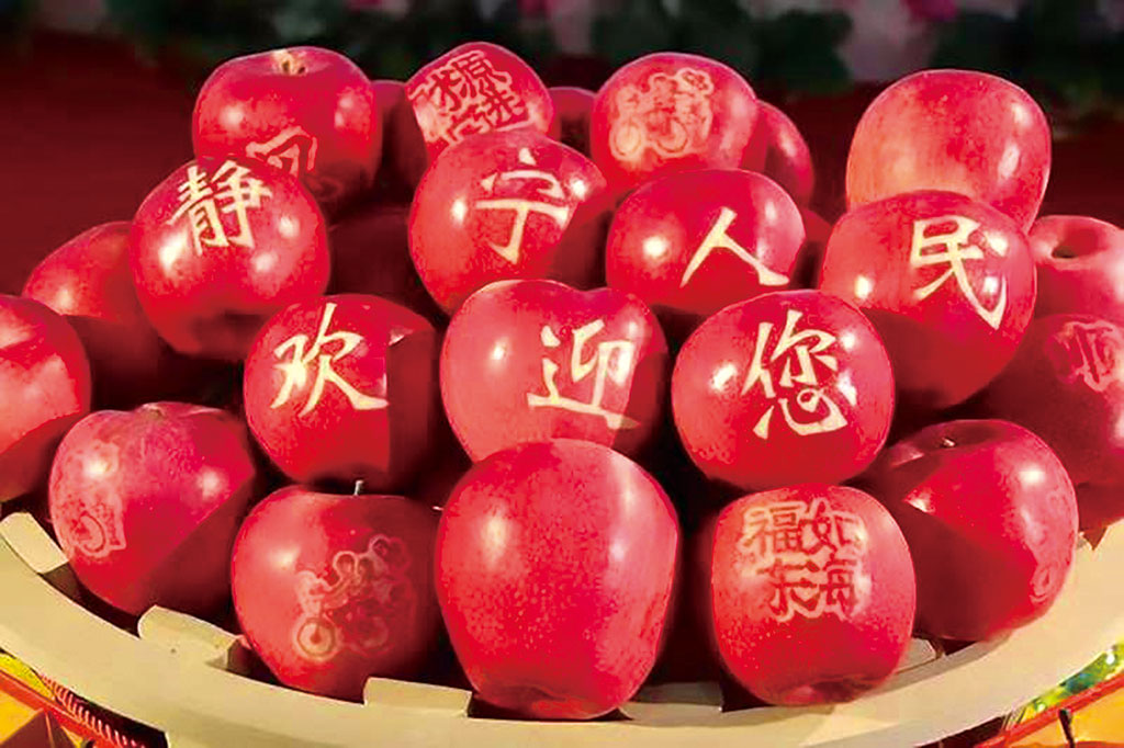 甘肃平凉:以品牌建设促苹果产业链提质增效|静宁_新浪财经_新浪网