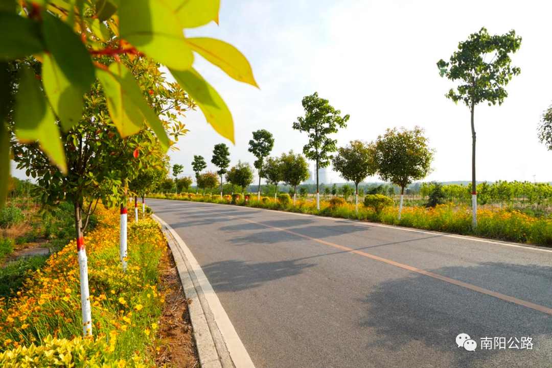 南阳市4条农村公路获评河南省"十大最美农村公路"_新浪财经_新浪网