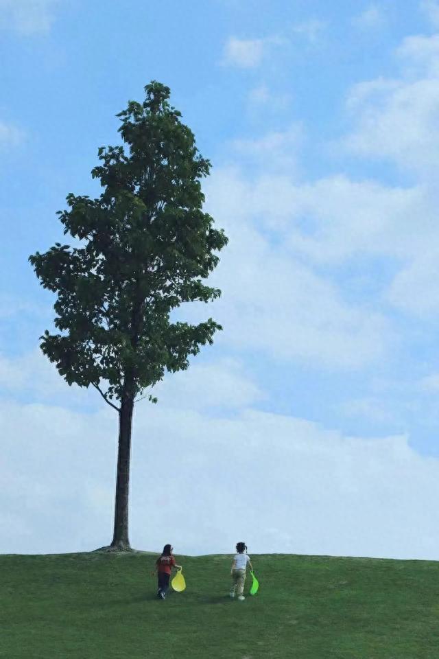 第十届"人与自然"黄浦科普摄影大赛开始啦!