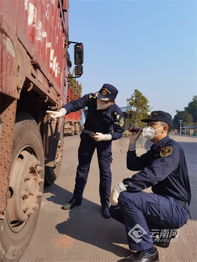 进出口_新浪财经_新浪网