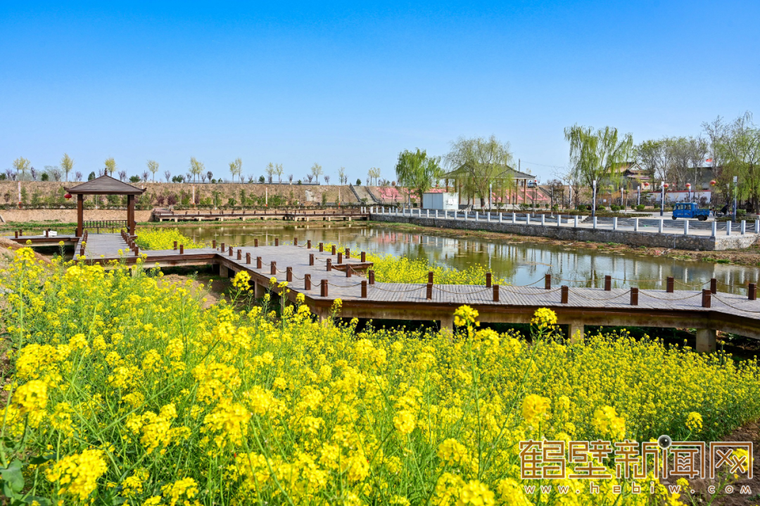 淇县西岗镇河口村坑塘黑臭水体治理典范(资料图)