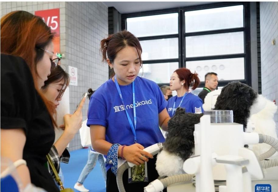 8月16日，在上海举行的亚洲宠物展览会上，参展商工作人员向观众演示宠物理毛器产品。  新华社