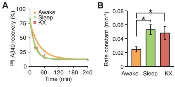 清醒、睡眠、麻醉组的β淀粉样蛋白清除速率。图片来源：来自参考文献。