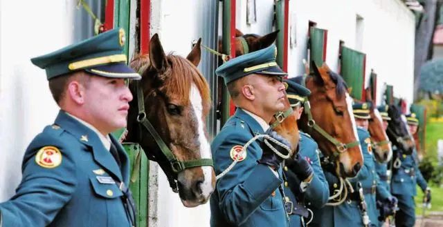 哥伦比亚陆军骑兵部队.