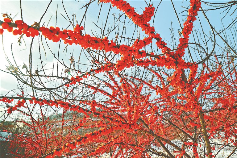 穆棱全国同城空降快餐品茶