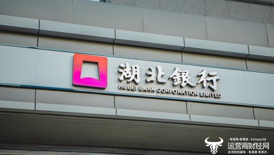 湖北银行行长刘战明读在职大学?这是啥文凭?第一学历未披露