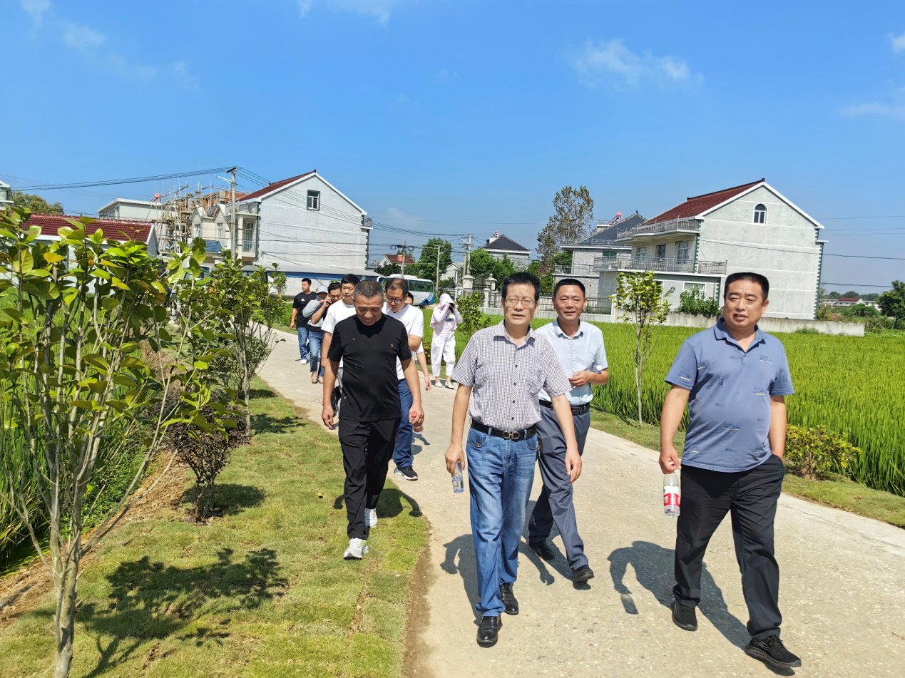 怀宁县石牌镇组织县乡人大代表调研人居环境整治工作_新浪财经_新浪网