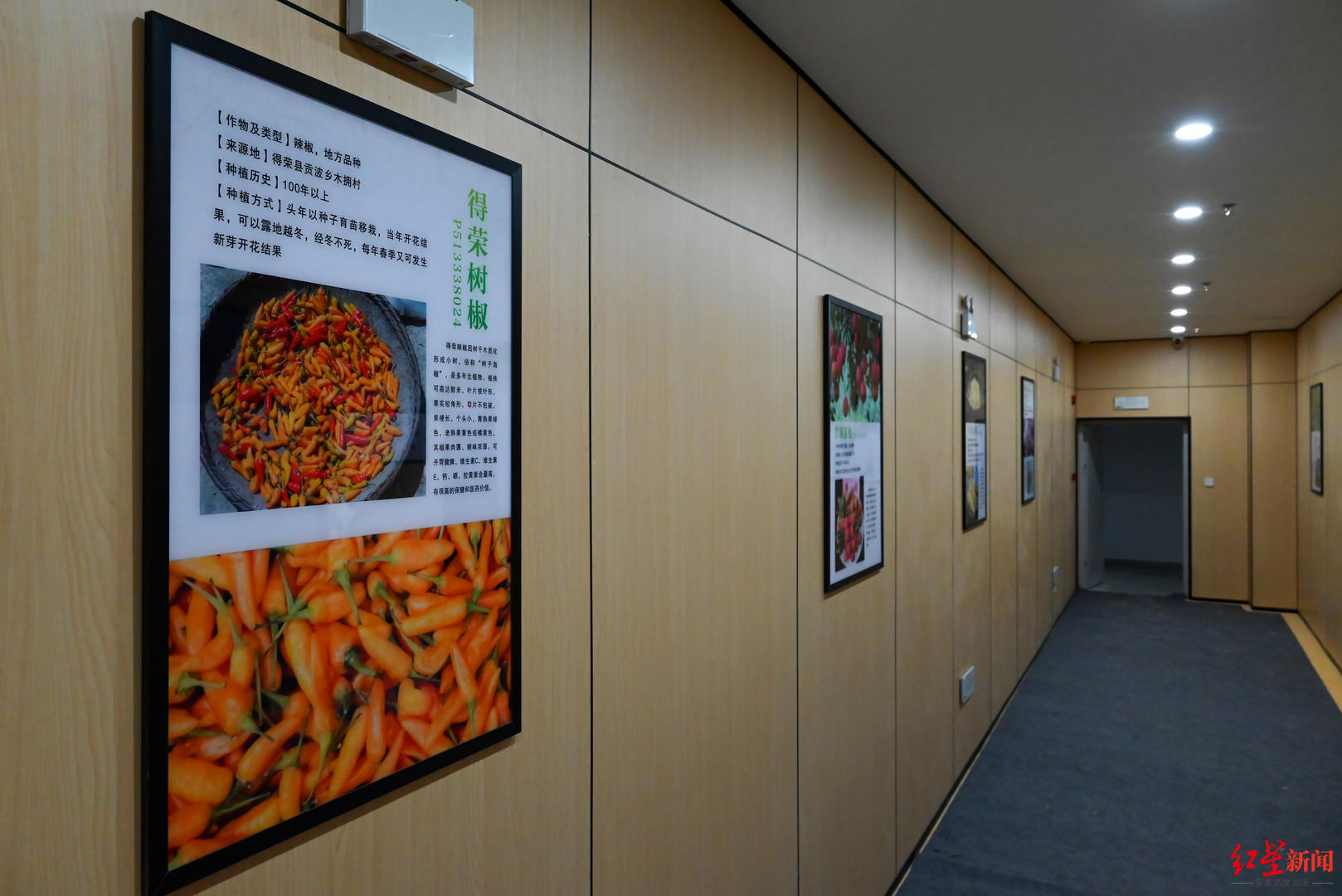 ▲即將揭牌成立的四川省種質資源中心庫