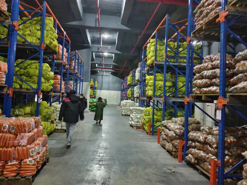 海口市菜篮子集团储备4200吨蔬菜应对台风"苏拉"