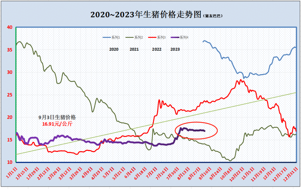 9月猪价开门跌，二次育肥即将入场！接下来，恐怕又是一场“恶”战