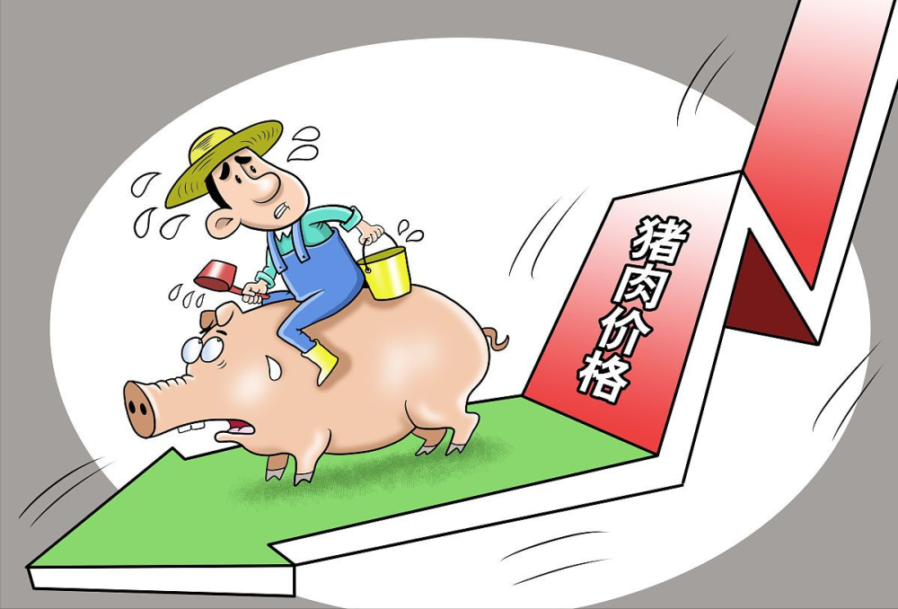 9月猪价开门跌，二次育肥即将入场！接下来，恐怕又是一场“恶”战
