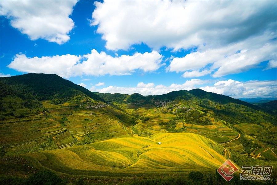 富宁县剥隘镇坡芽村作者:武坤绿美云南建设,是云南省响应国家经济建设
