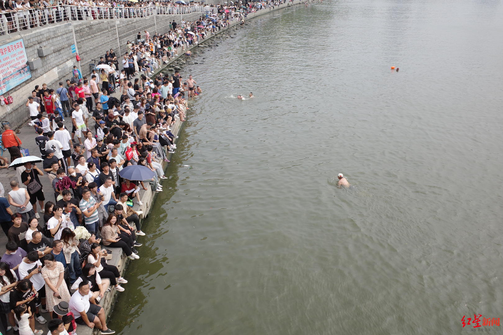 人们在狮子林桥边围观跳水 付垚 摄