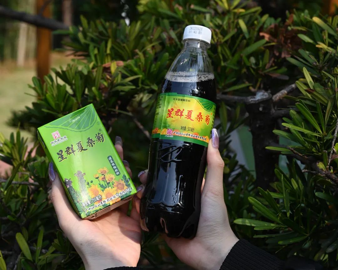 这款"降火可乐"的配方不走寻常路其中桑叶,菊花和甘草作为主要原料