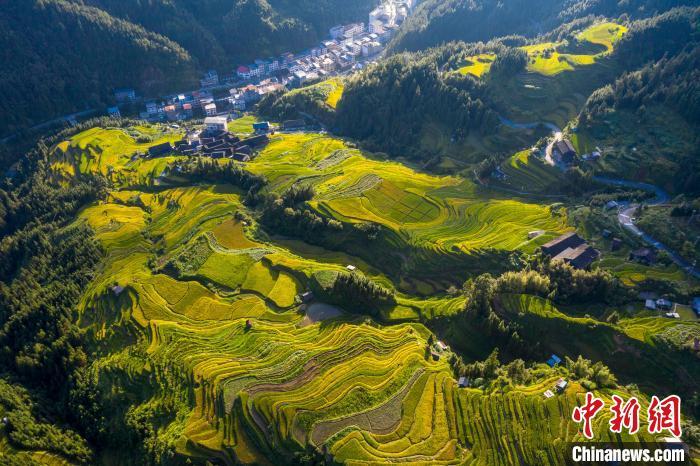 贵州省从江县秀塘壮族乡南塘村的梯田秋景.吴德军 摄