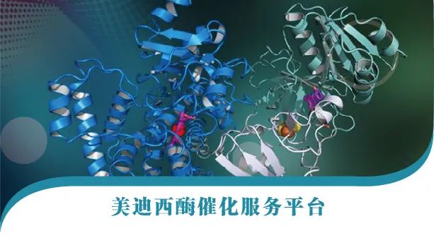 酶催化工艺开发：推动绿色化生产的重要途径
