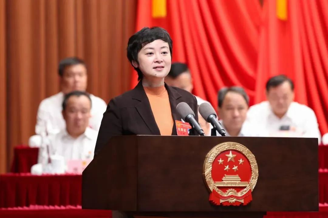 新当选的松江区区长王靖讲话(图片来源:上海松江)