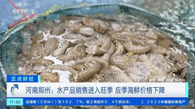 图片来源：视频截图