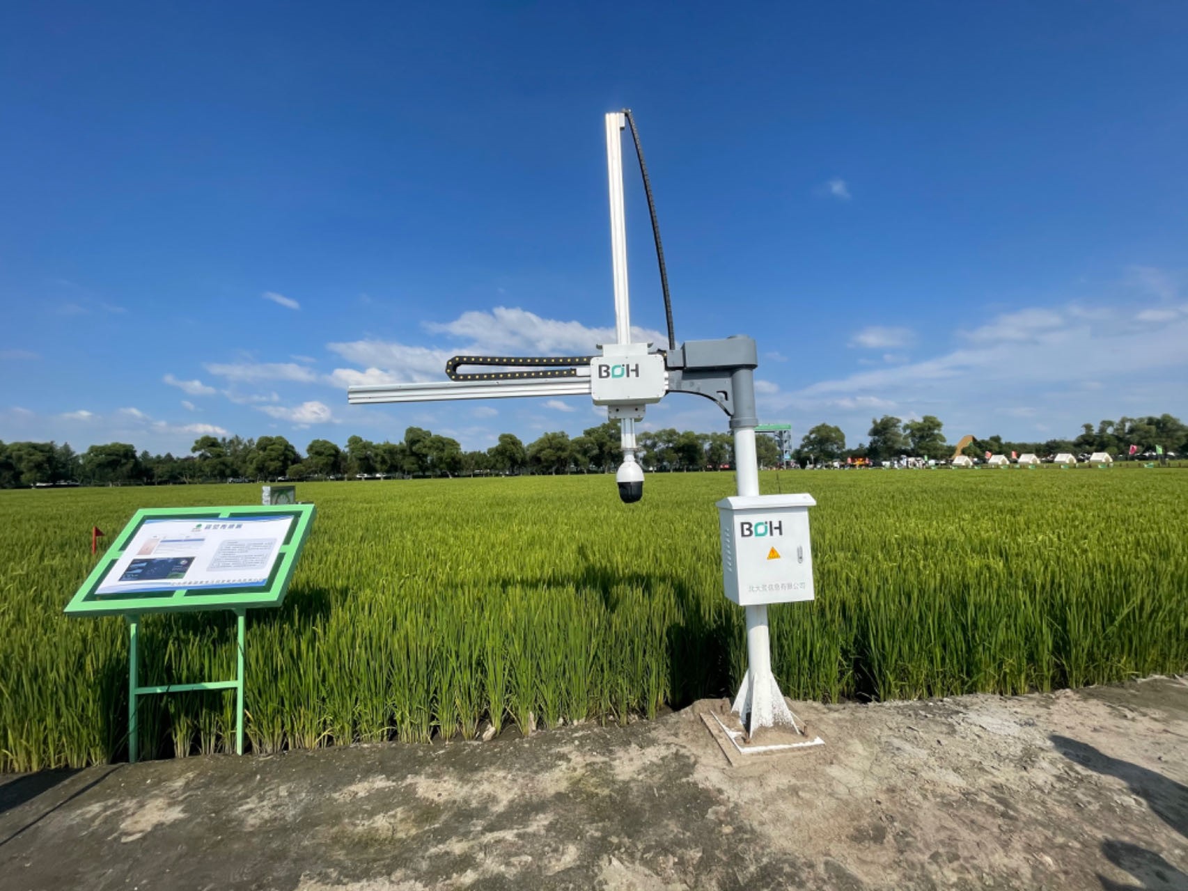 数字化设备对本地水稻叶龄进行数据采集