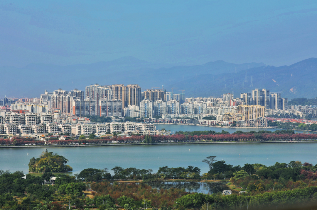 广东肇庆市 新浪网