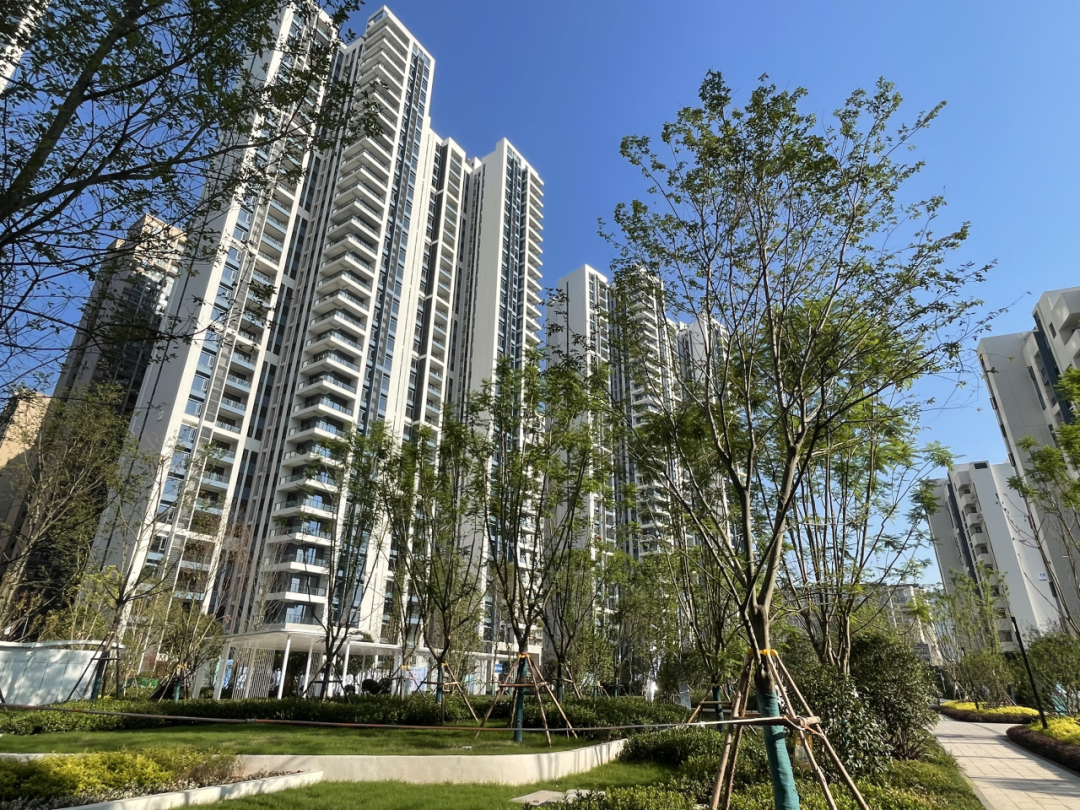达州碧桂园珑樾湾,731户业主安新家