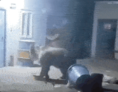 “单手即可破门，更不用说熊的嗅觉相当敏锐，哪怕你吃完饭没刷牙，它们都能闻着味找到你。”