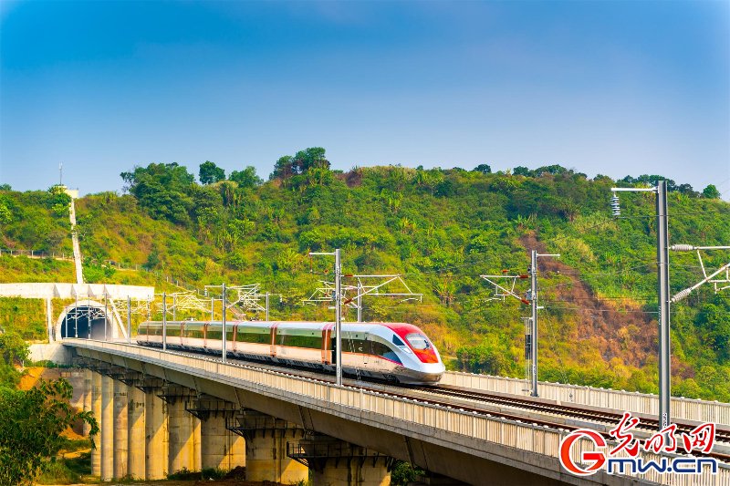 图为动车组在雅万高铁线路上飞驰.