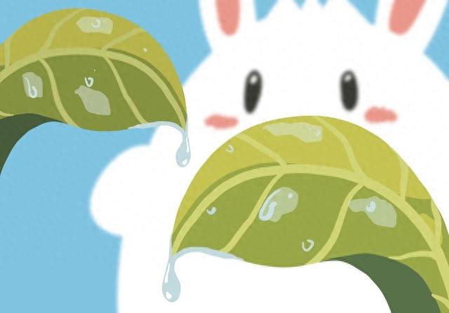 今日白露！鸿雁来，玄鸟归，