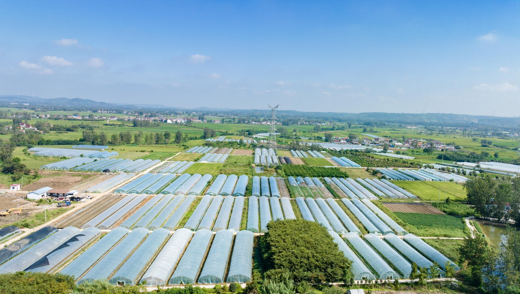 来安县张山镇桃花村国家级蔬菜基地鸟瞰.本报通讯员 吕华 摄