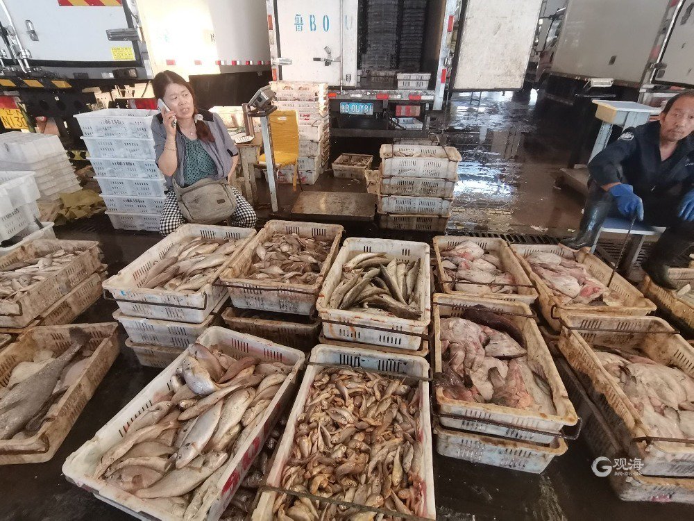 活鲜配送行业新纪元：让食材新鲜如初