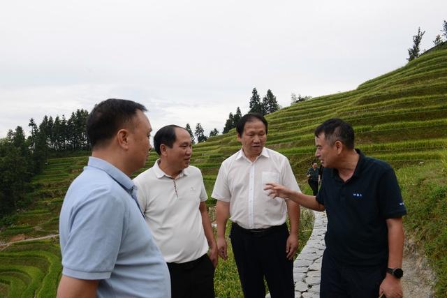 钱前院士：推进梯田联盟壮大 共同保护农耕遗产|梯田_新浪财经_新浪网