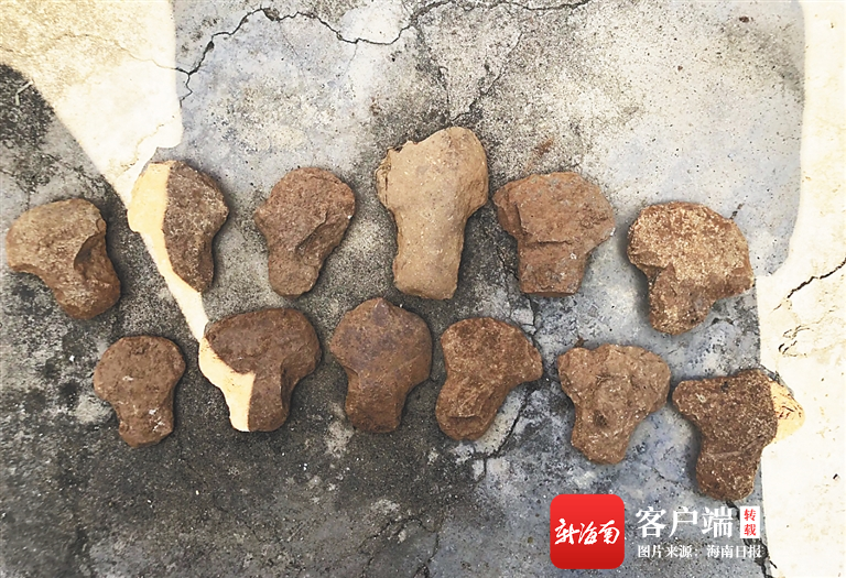 雷公凿.何杰华供图