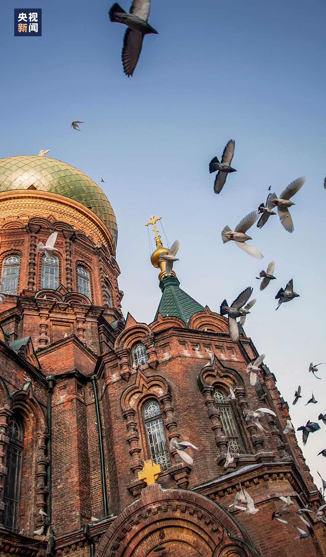 一起走进这个宝藏省份|黑龙江省_新浪财经_新浪网