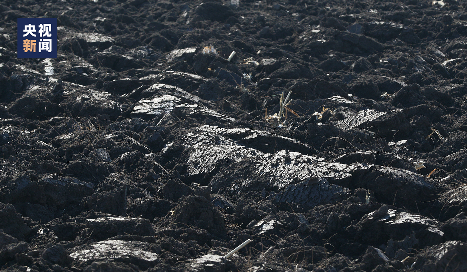 旋耕过后黑土地泛油光,东北俗语"捏把黑土冒油花,插双筷子也发芽".