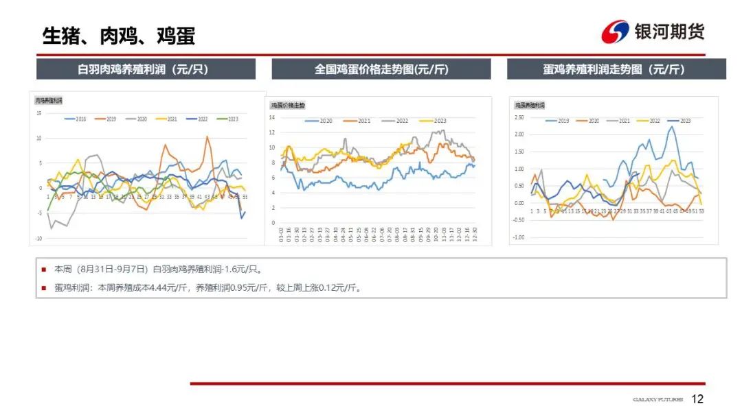 华北玉米陆续上市 玉米现货下跌