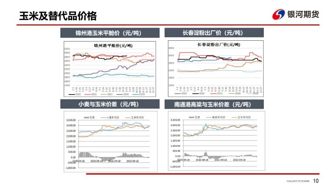 华北玉米陆续上市 玉米现货下跌