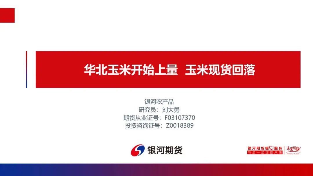 华北玉米陆续上市 玉米现货下跌