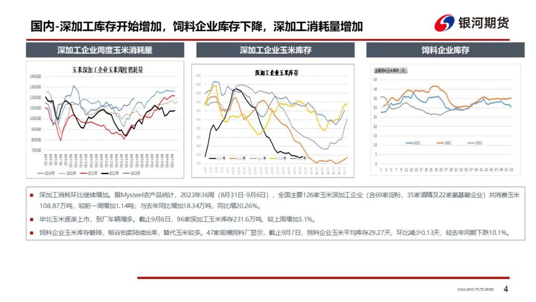 华北玉米陆续上市 玉米现货下跌